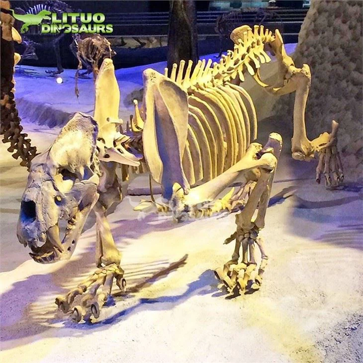 3Ice Age Animal Sabertooth Tiger Skeleton(001)