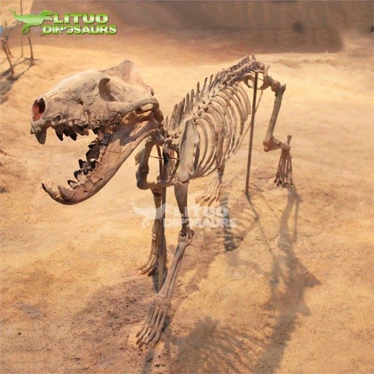4prehistoric fossil sabertooth tiger(001)