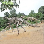 Скелет на хадрозавър